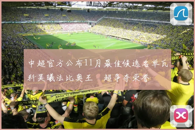 中超官方公布11月最佳候选名单瓦科吴曦法比奥王燊超争夺荣誉