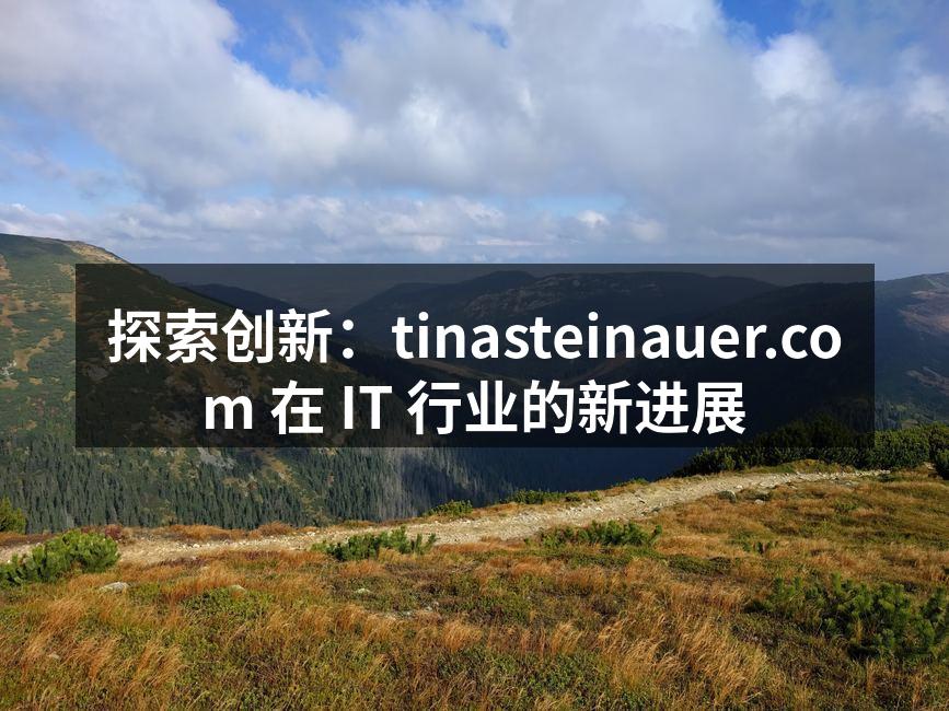 tinasteinauer.com 新项目管理软件界面截图